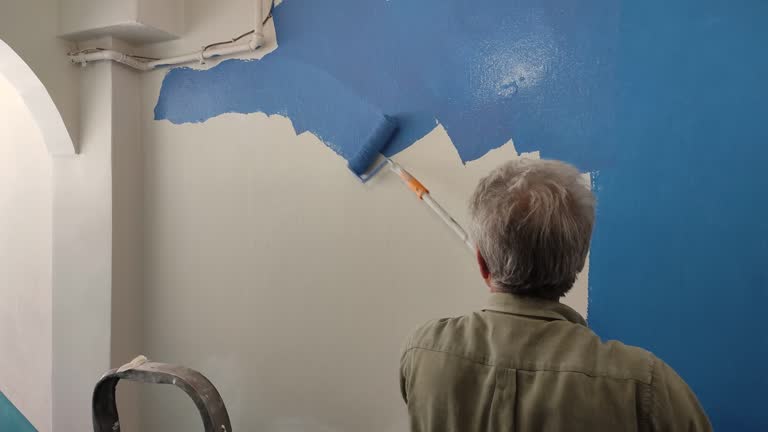 Best Fire-Damaged Drywall Repair  in Fox River Grove, IL